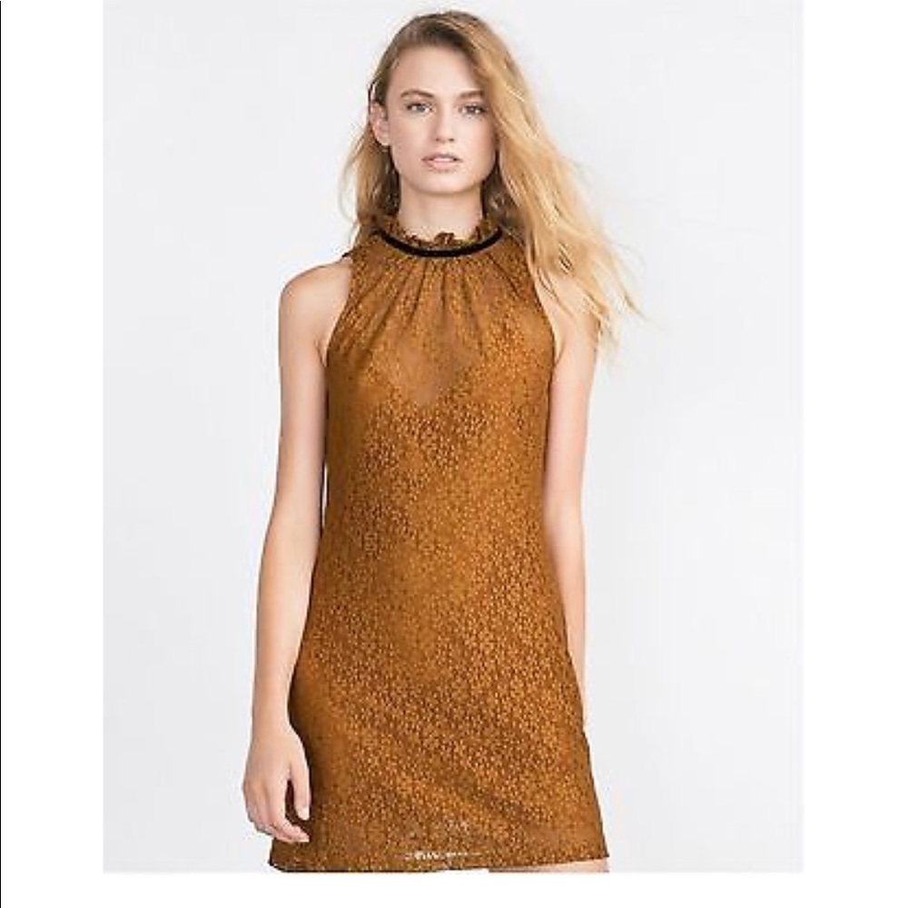 BRAND NEW Zara lace (lined) dress bow high collar